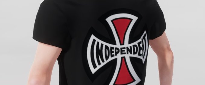 Gear T-Shirt & Hoodie Independent Skater XL mod
