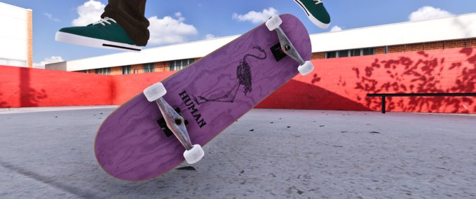 Fakeskate Brand Human Skateboards Flamingo & Rollins Series Skater XL mod
