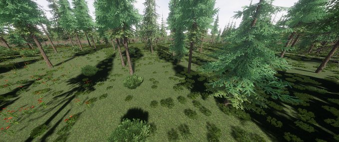 Map Pine Forest MORDHAU mod