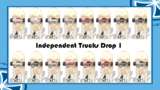 Independent Trucks Drop 1 Mod Thumbnail