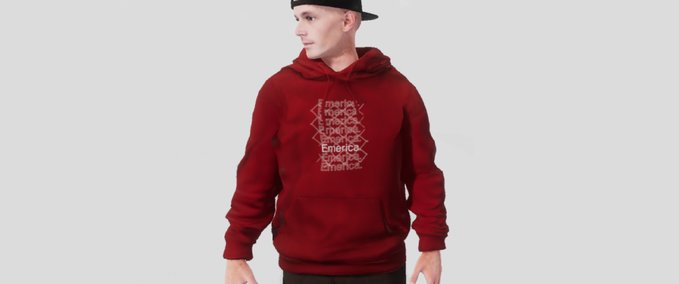 Other Emerica Link Hoodie Skater XL mod