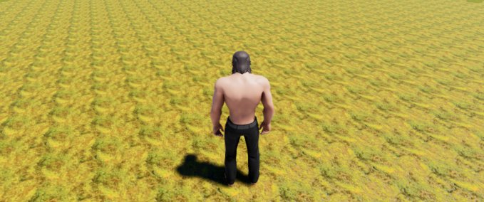 Other 1 Playcraft mod
