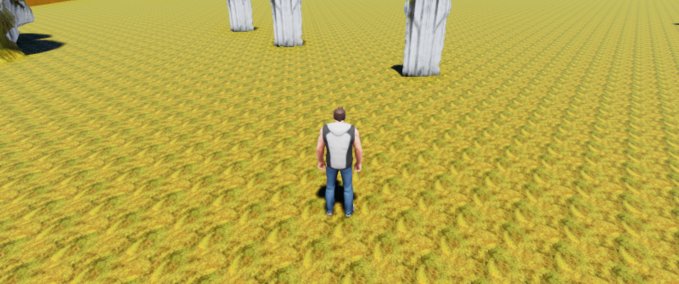 Other tim fortrest 2 Playcraft mod