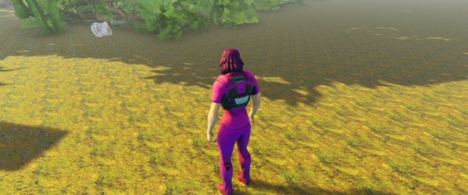 Other Loaded forest Playcraft mod