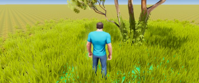 Other ahmad Playcraft mod