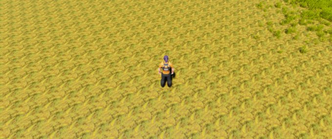 Other yeet Playcraft mod