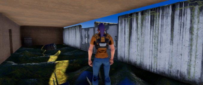 Other nwm Playcraft mod