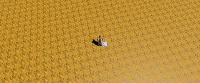 Other test Playcraft mod