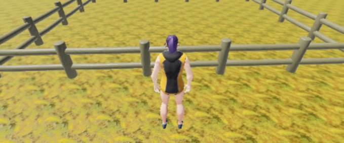 Other Sanchia Playcraft mod