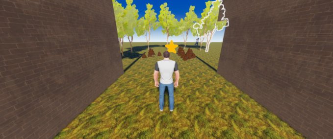 Other Get the star Race 2.0 Playcraft mod