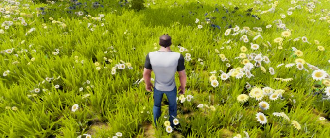 Other d Playcraft mod