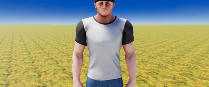 Other hi Playcraft mod