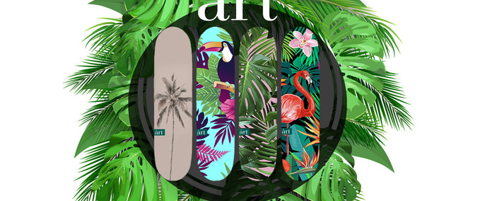 Other àrt Skateboards Skater XL mod