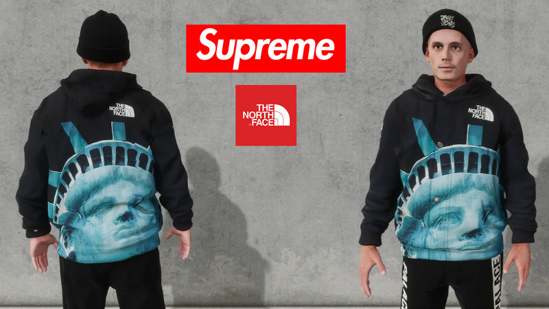 supreme the north face statue of liberty