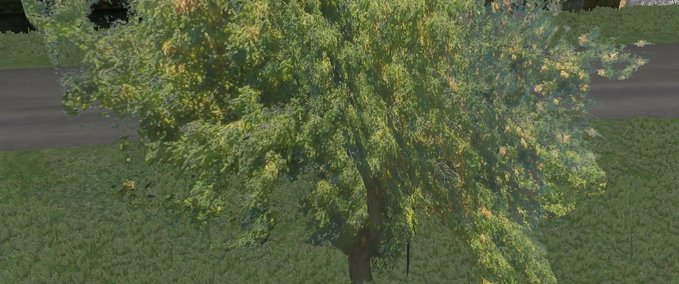Akacia tree. Mod Image