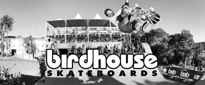 Other Birdhouse Deck Pack Skater XL mod