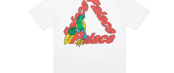 Other Palace Parrot Tee Skater XL mod