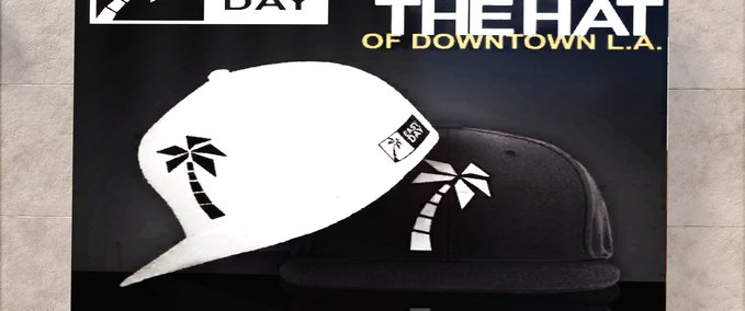 Other DTLA Easy Day Snapback Skater XL mod