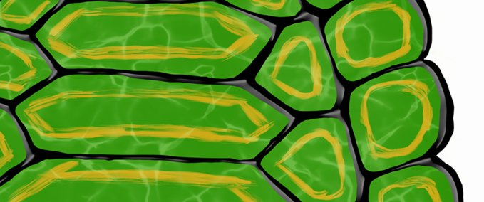 Other Space Macaw Solid Shell Dekcs Skater XL mod