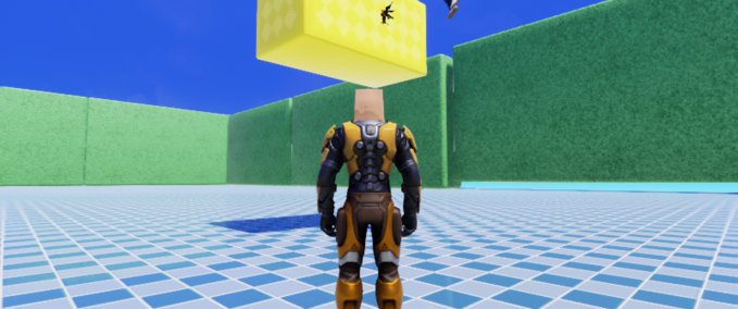 Other playing with friend Playcraft mod