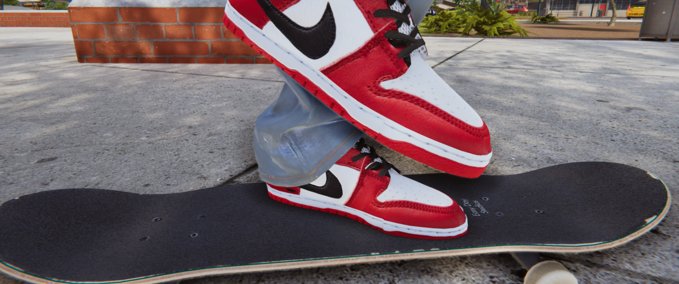 Other Nike Dunk Chicago Skater XL mod