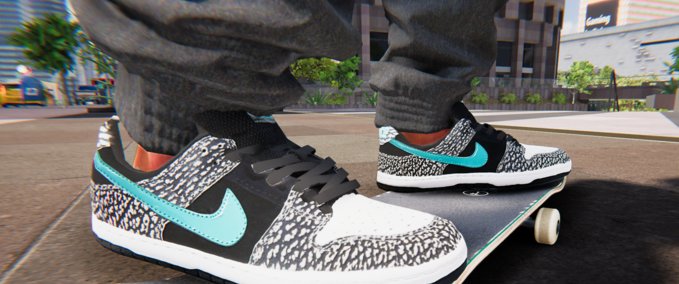 nike dunk atmos on feet