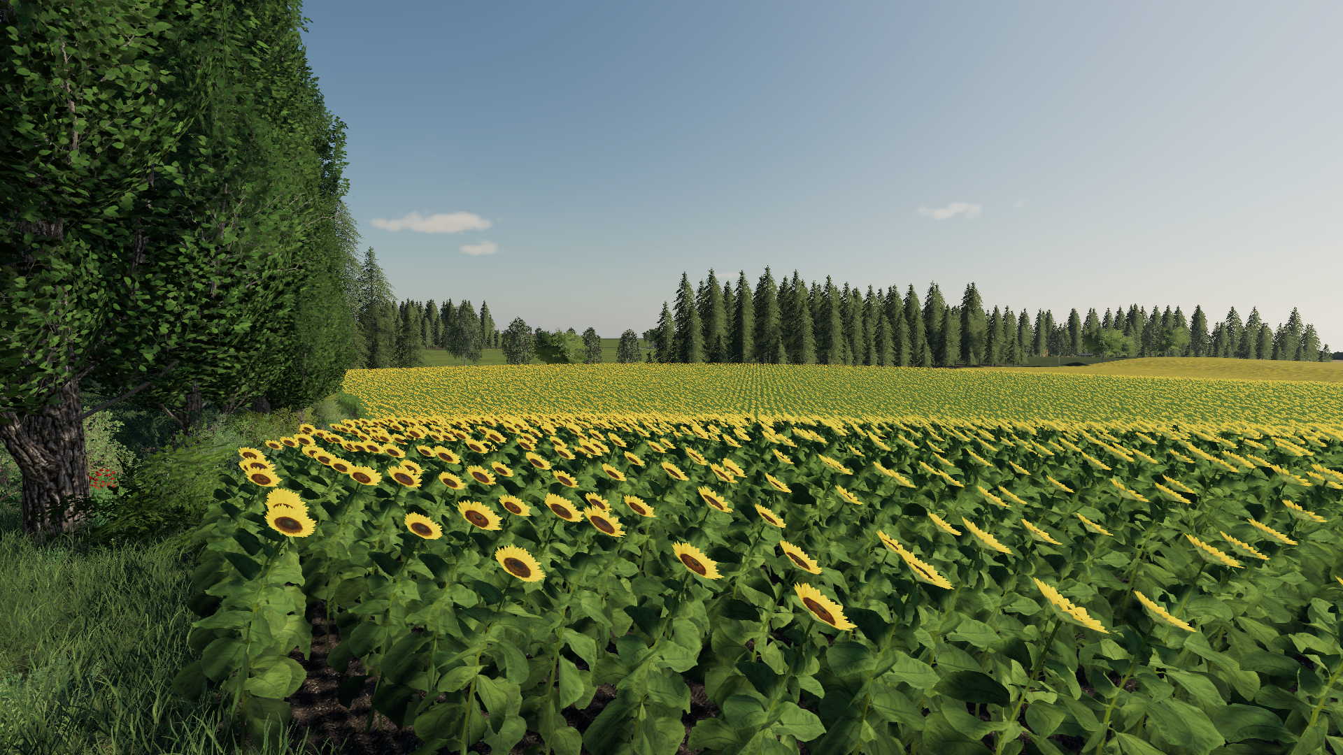 Middle Saxony - Thumbnail 1