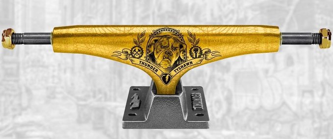 Uncategorized Thunder Trucks - Tyshawn Jones "Pedigree" (Used) Skater XL mod