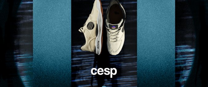 Gear Alchemy | CESP pro shoe Skater XL mod