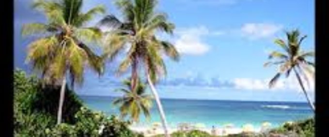 Uncategorized Tropical Steezz Park Skater XL mod