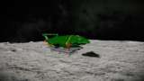 Thunderbird 2 Mod Thumbnail