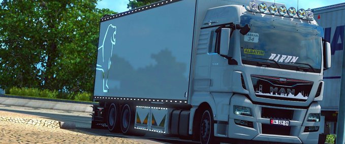 Trucks MAN TGX EURO6 THERMO TRUCK [1.38.X] Eurotruck Simulator mod