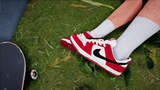 Nike SB Dunk Low Pro Chicago 'Custom' Mod Thumbnail