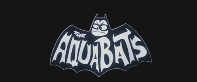 Gear The Aquabats merch Skater XL mod