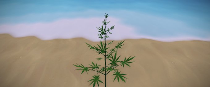 Sonstiges Decorative Cannabis Foundation mod