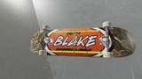 Theft Skateboards | Blake PRO deck| Mod Thumbnail