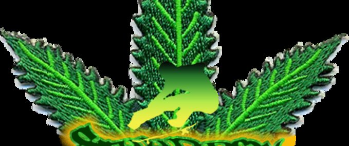 Other Marrow Presents... Steezbox Collection Skater XL mod