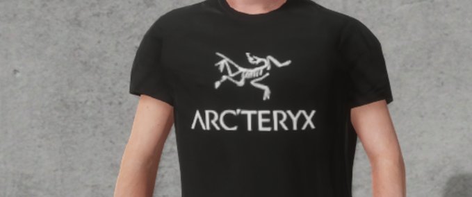 Real Brand Black Arc'teryx Tee Skater XL mod