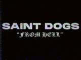 Saint Dogs "From Hell" Mod Thumbnail