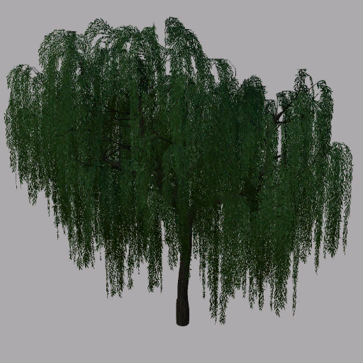 Willows Trees FS 2019 - Thumbnail 1