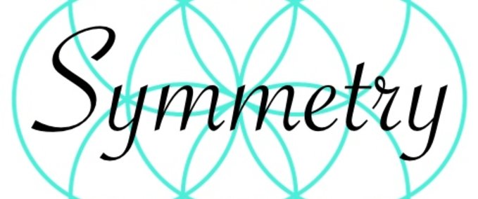 Other Symmetry clothing February drop Skater XL mod