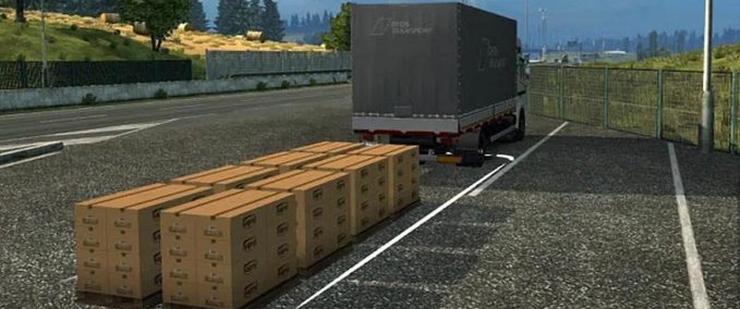 Trailer Zusätzliche Cargo für BDF (1.39 - 1.40) Eurotruck Simulator mod