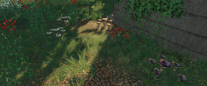 Objects Mushrooms Farming Simulator mod