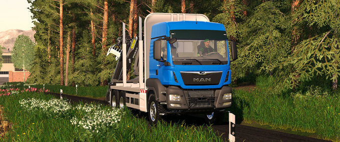 MAN MAN TGS 33.500 Holztransport Landwirtschafts Simulator mod