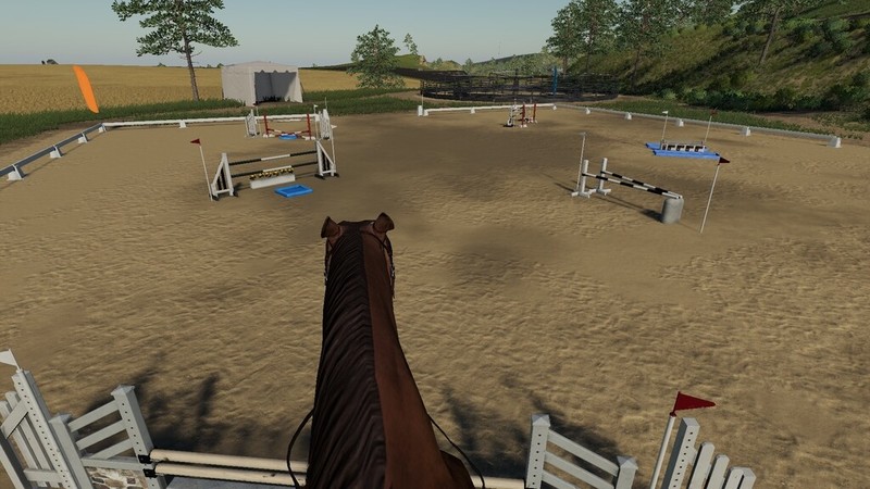 Horse Riding not compatible with Work Camera Mod : r/farmingsimulator