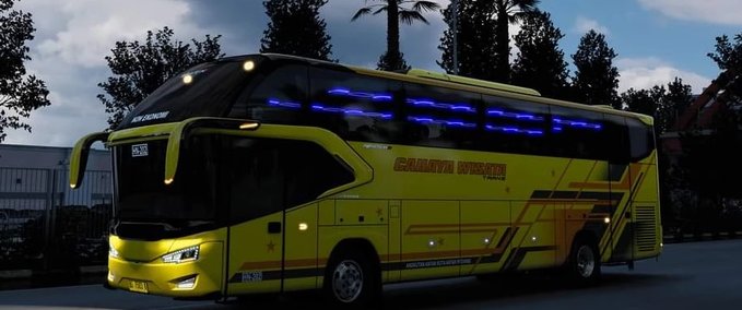 Trucks Bus Real Vision [1.41] Eurotruck Simulator mod