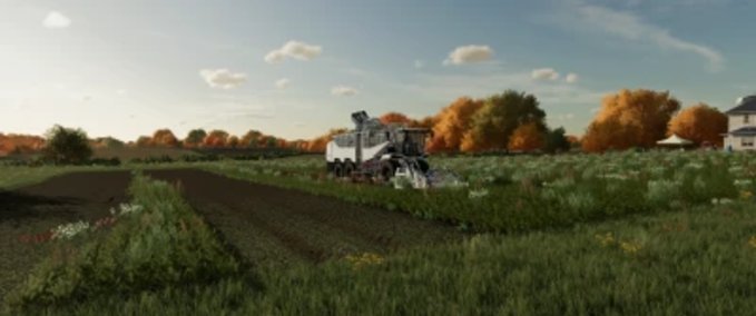 Sonstige Selbstfahrer Grimme Rexor 6300+ Landwirtschafts Simulator mod