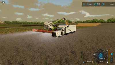 Peterbilt 379 Muldenkipper - Thumbnail 1