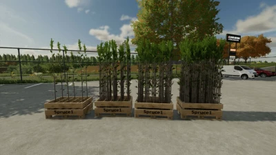 Baumschössling Pack - Thumbnail 1