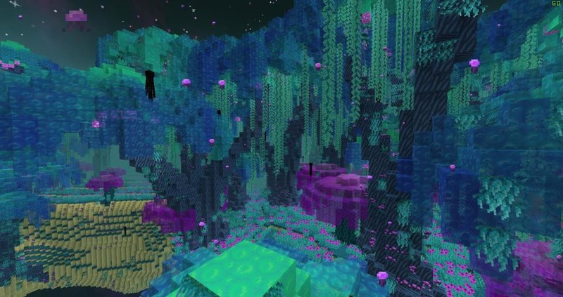 Minecraft End Update, New Biomes